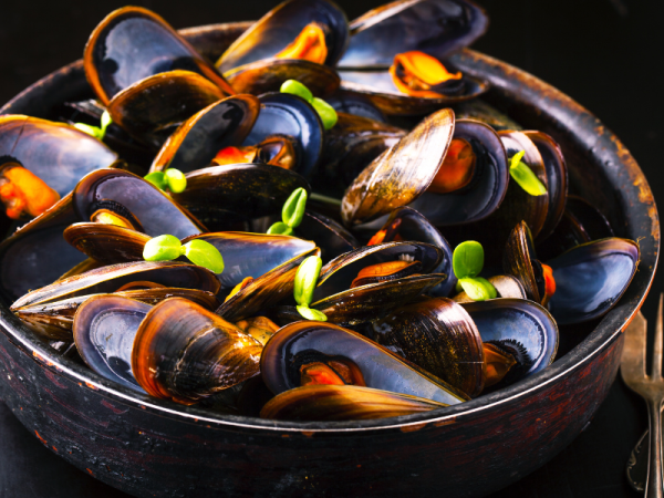 From Sea to Table: Que Pasa Serves Fresh Dutch Mussels