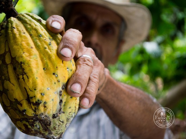 New in Aruba: Farmer’s Fresh Restaurant Week!