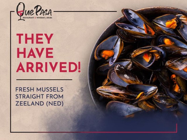 They have arrived: Fresh Dutch Mussels!